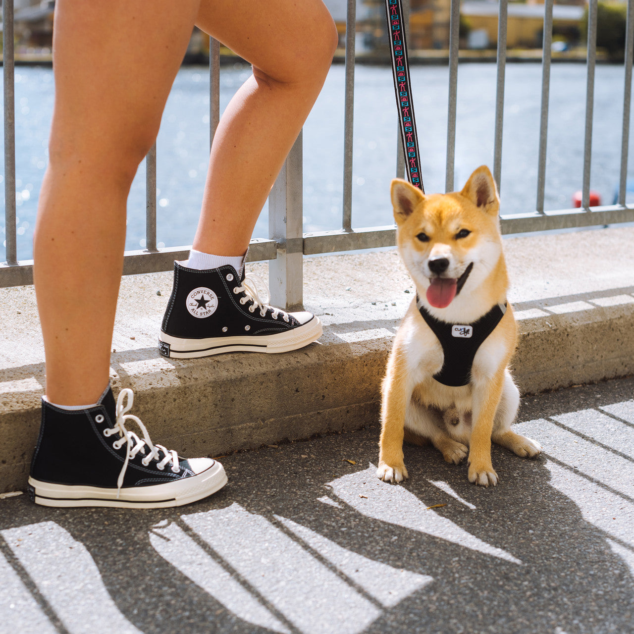Chuck Taylor 70 Hi | 162050C