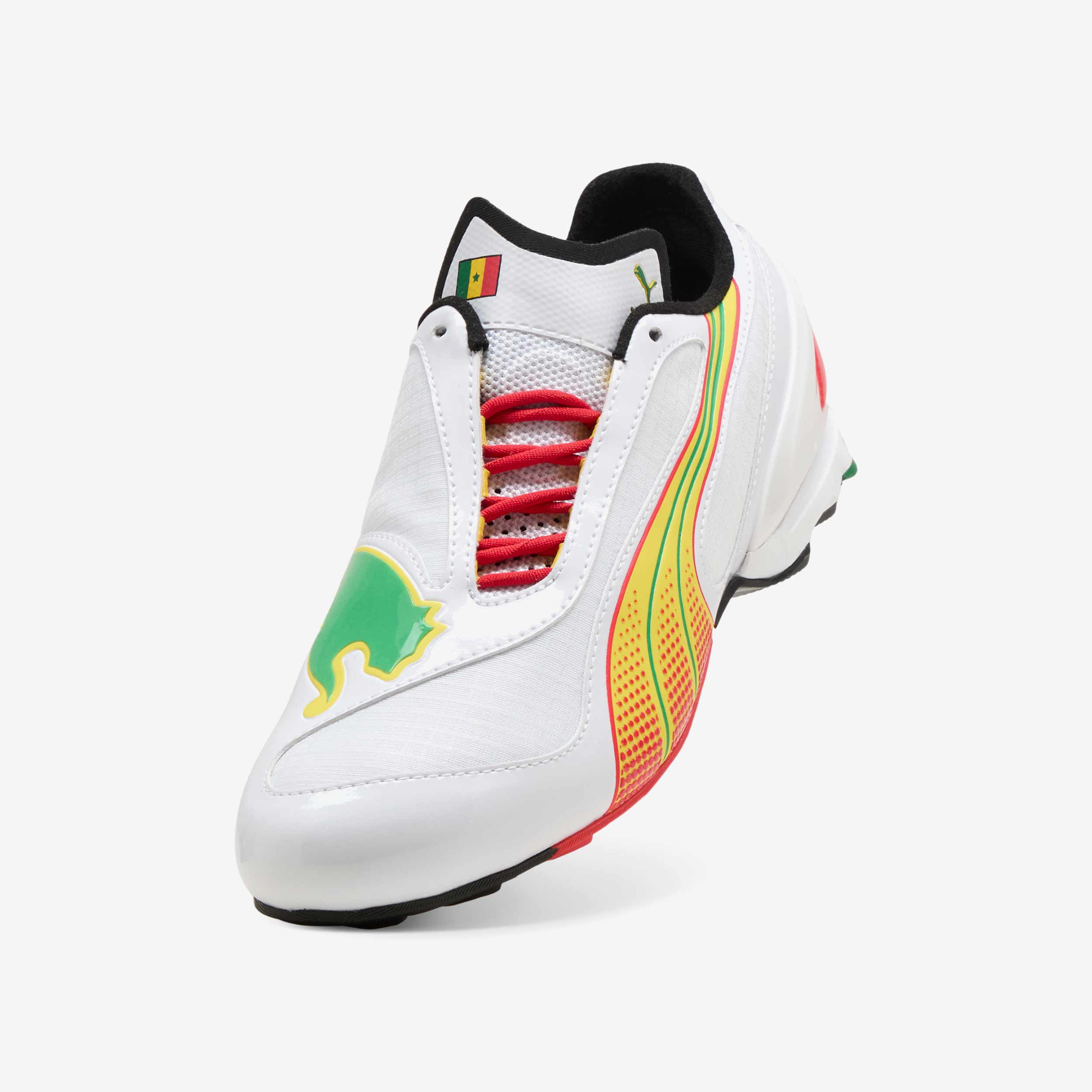 V-S1 Afcon
