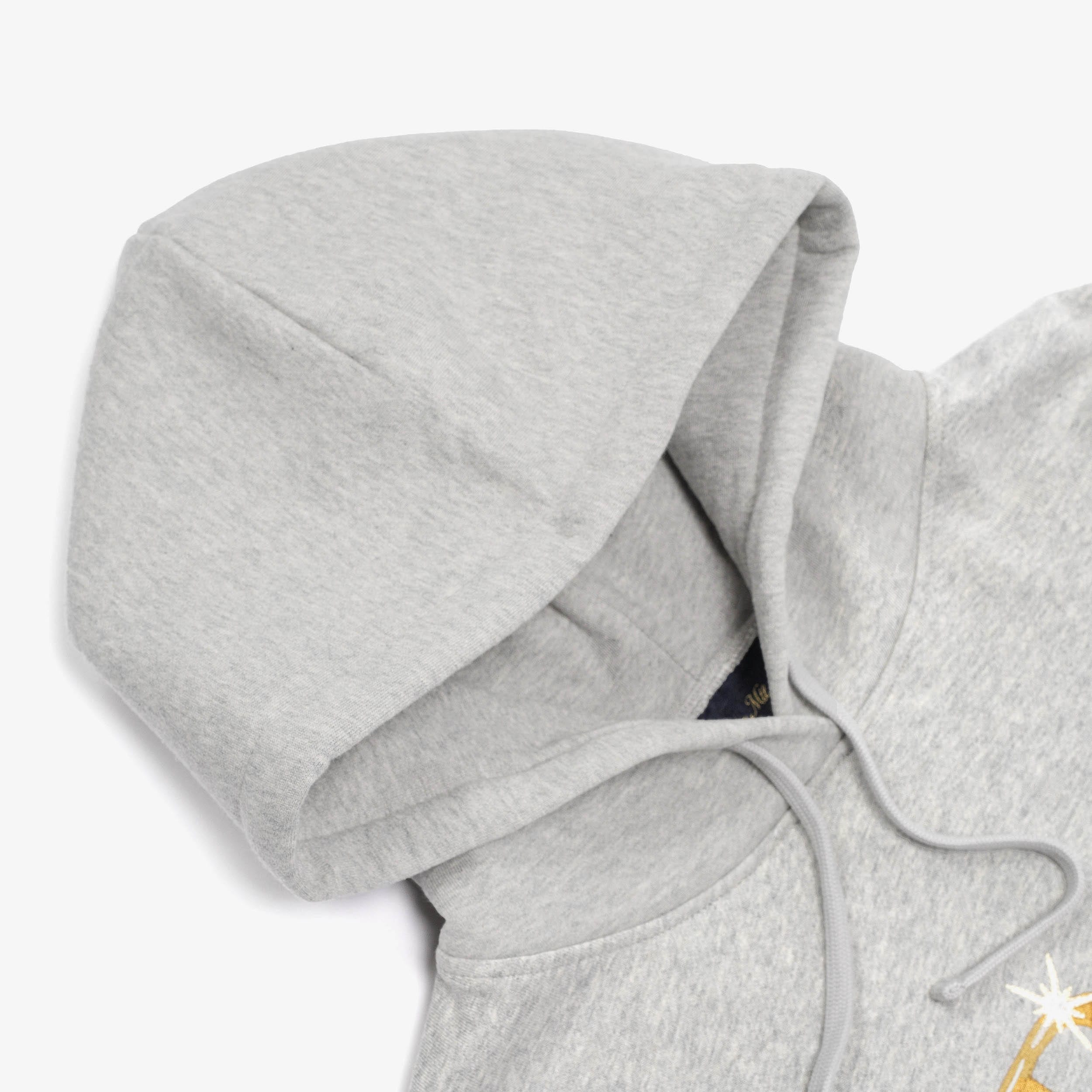 Classic Shiny Hoodie