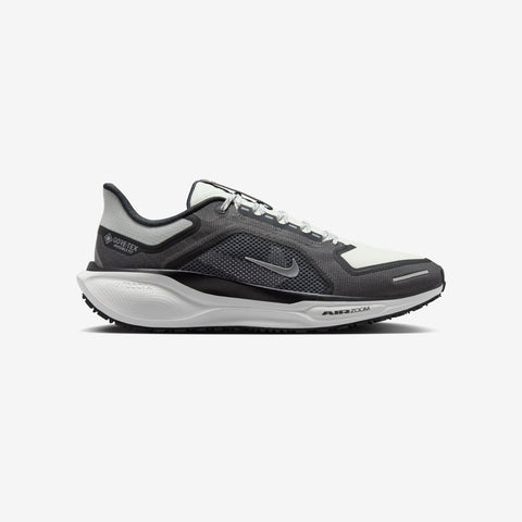 Pegasus 41 GORE-TEX