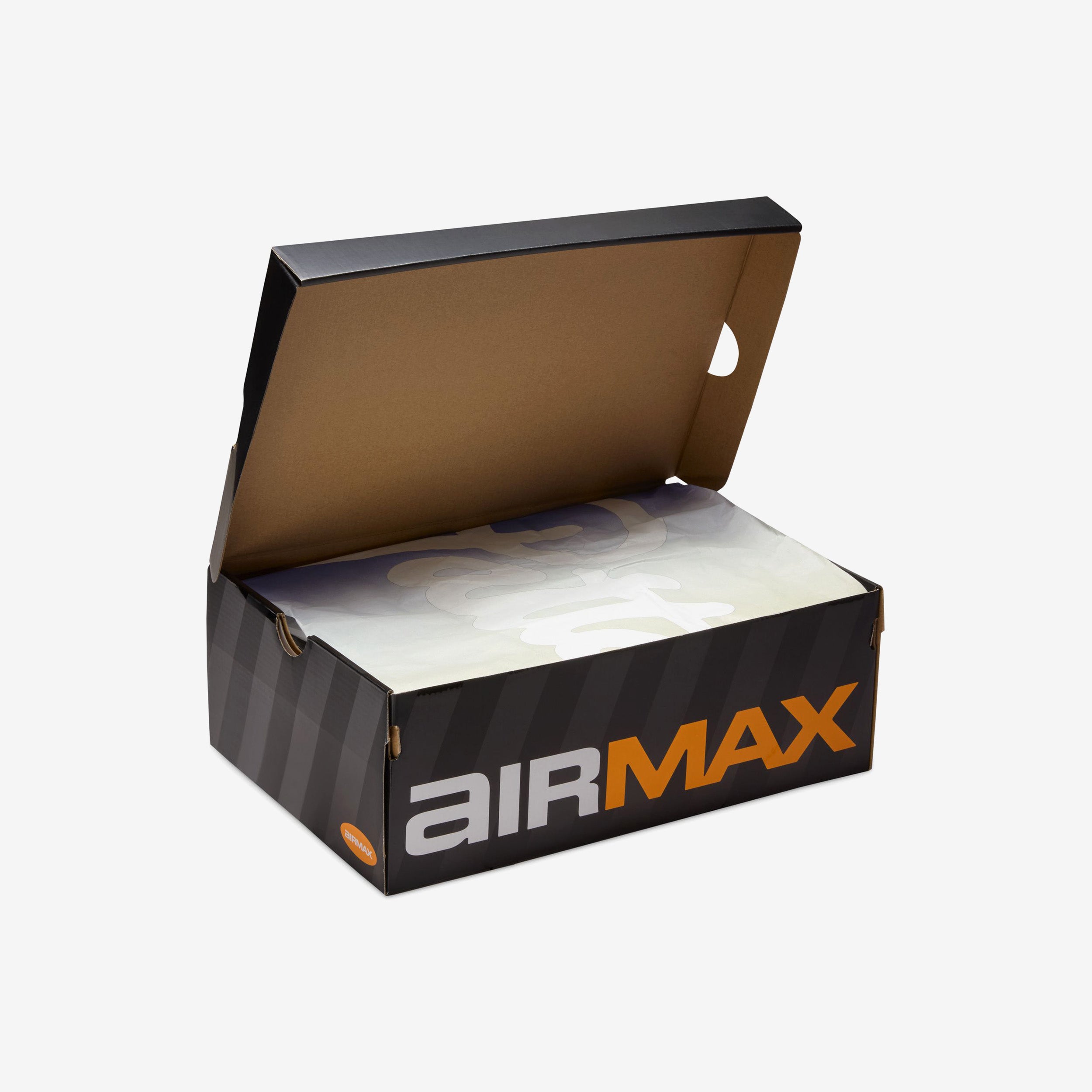 Air Max Dn8 SP x Patta