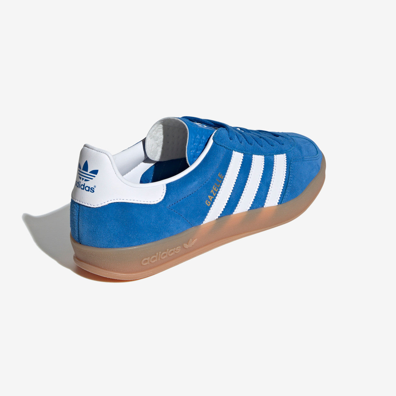 Gazelle Indoor | JI2061