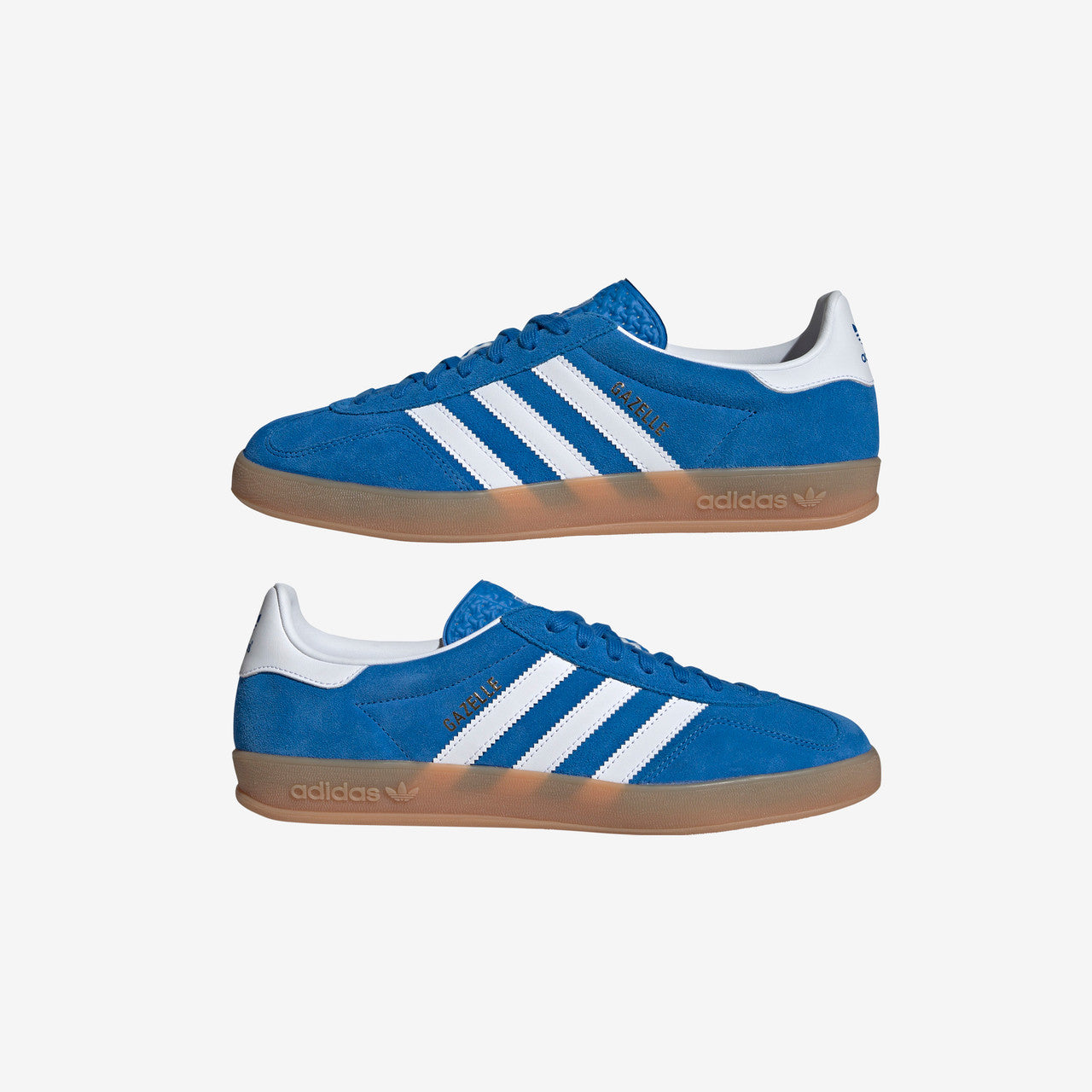 Gazelle Indoor | JI2061