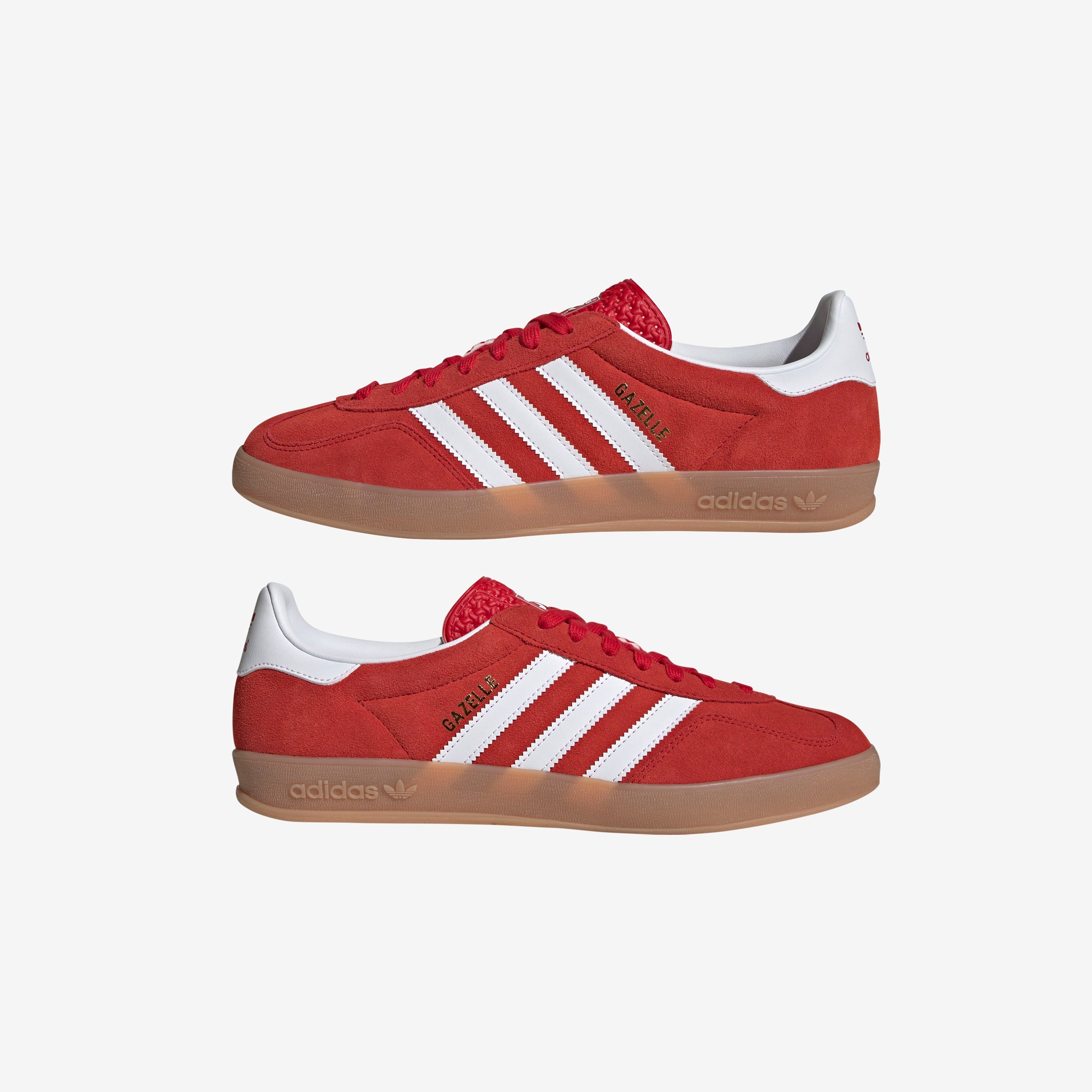 Gazelle Indoor