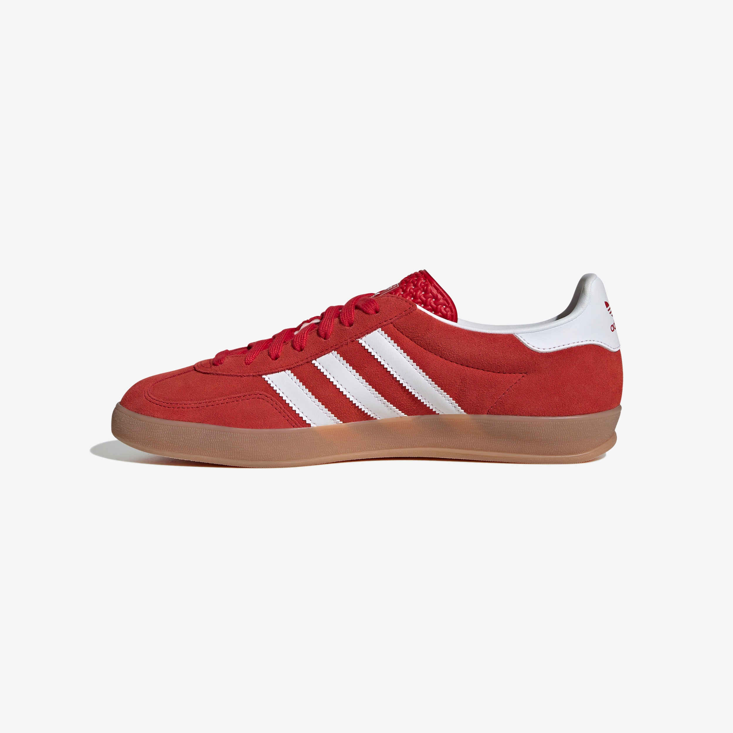 Gazelle Indoor