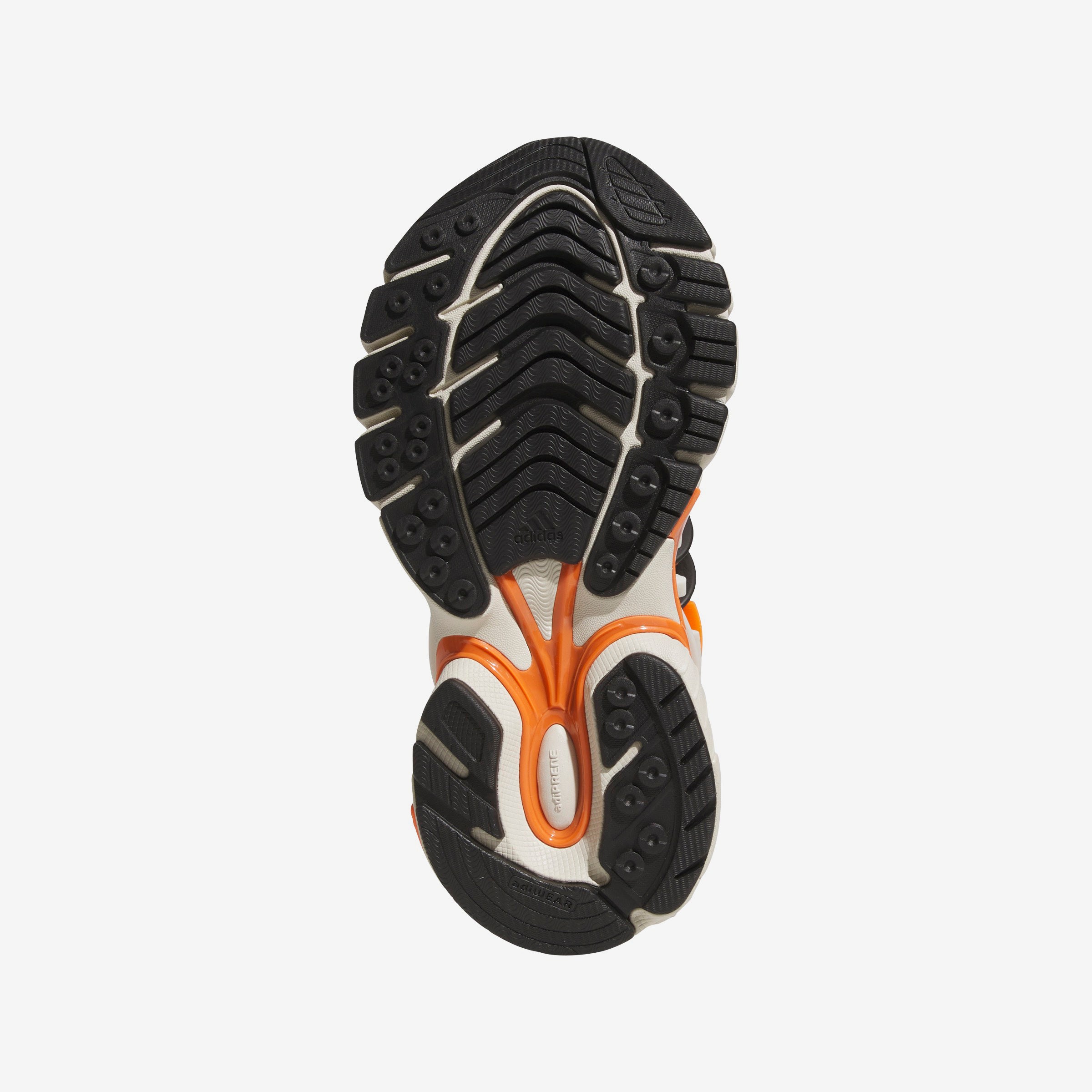 Virginia Adistar Jellyfish By Pharrell Williams