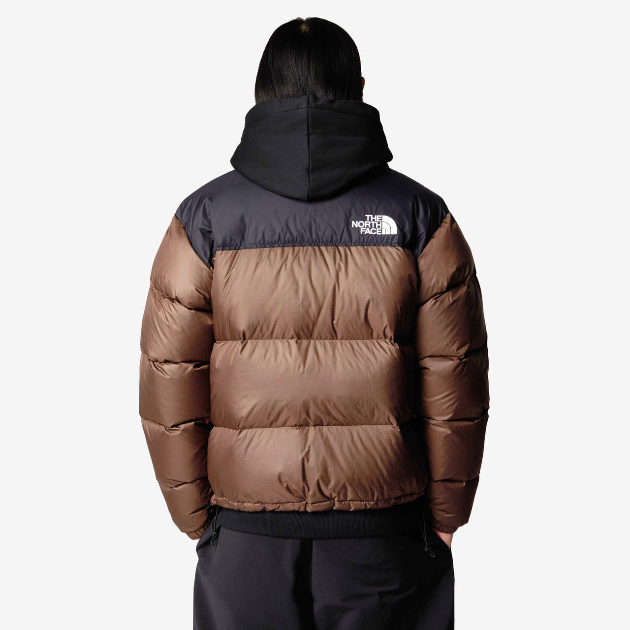 1996 Retro Nuptse Jacket | NF0A3C8D5EX1