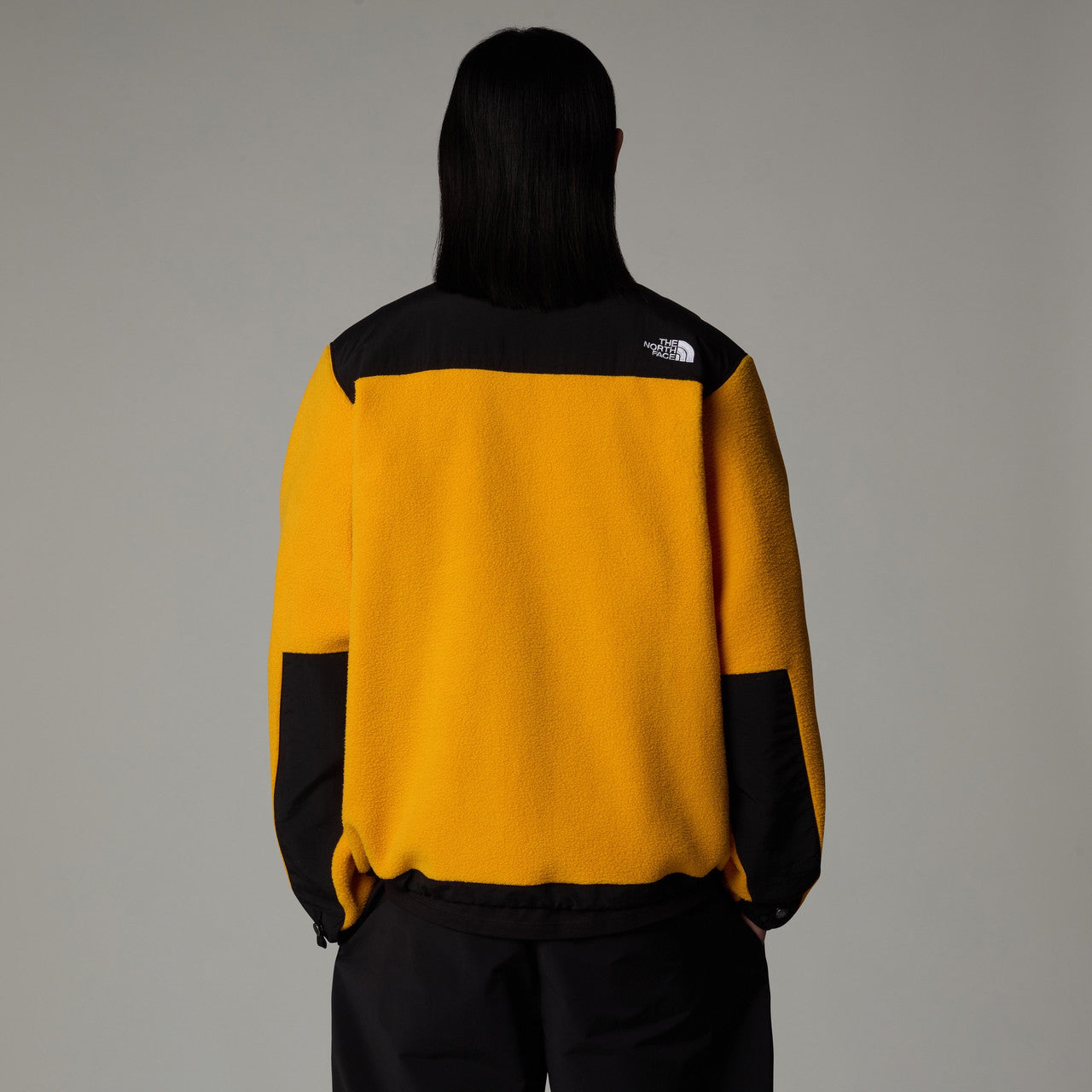 Retro Denali Jacket | NF0A88XHZU31