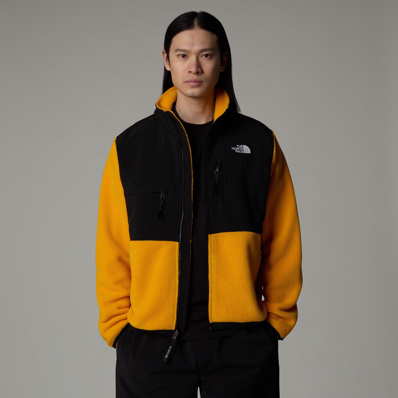Retro Denali Jacket | NF0A88XHZU31