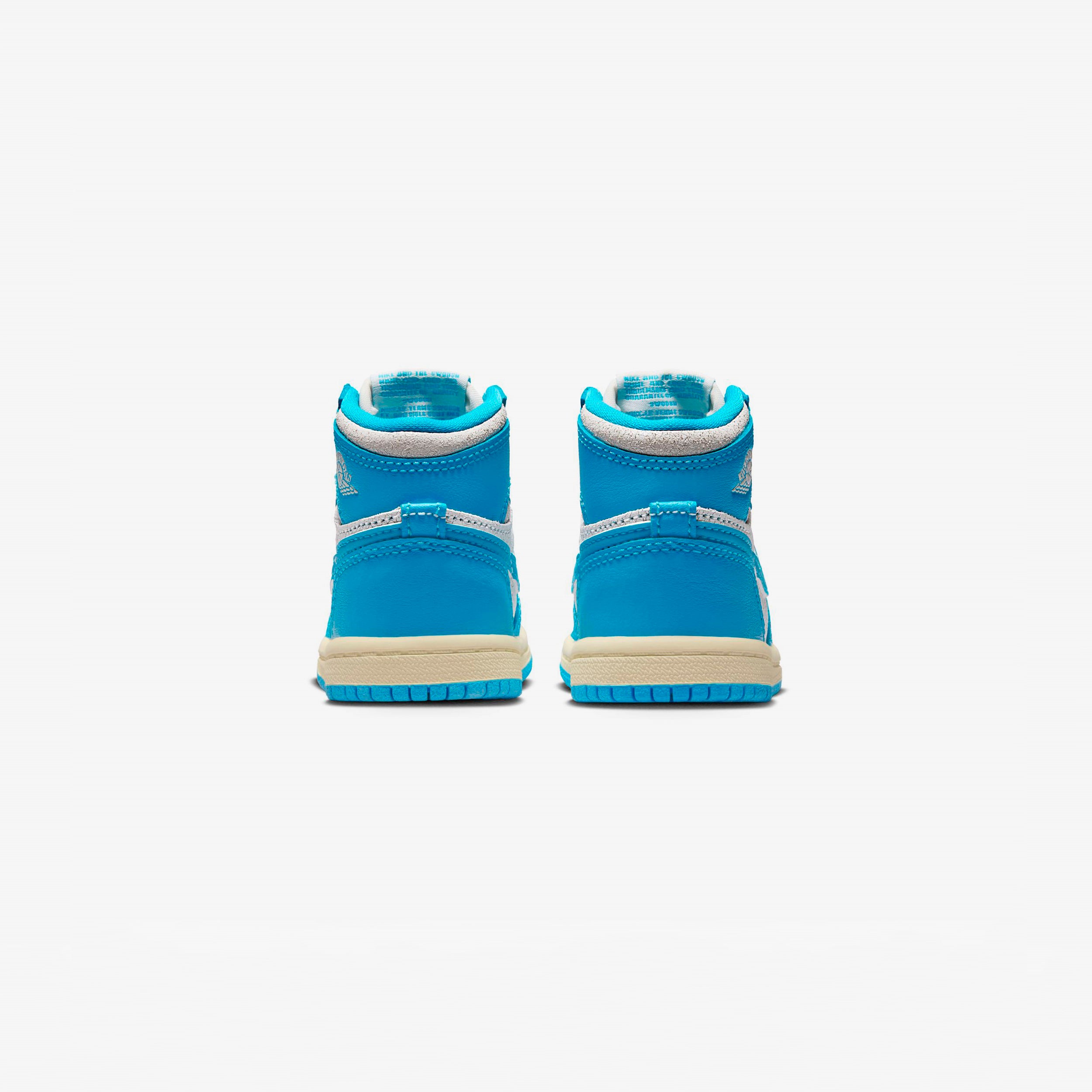 Jordan 1 Retro High OG (TD)