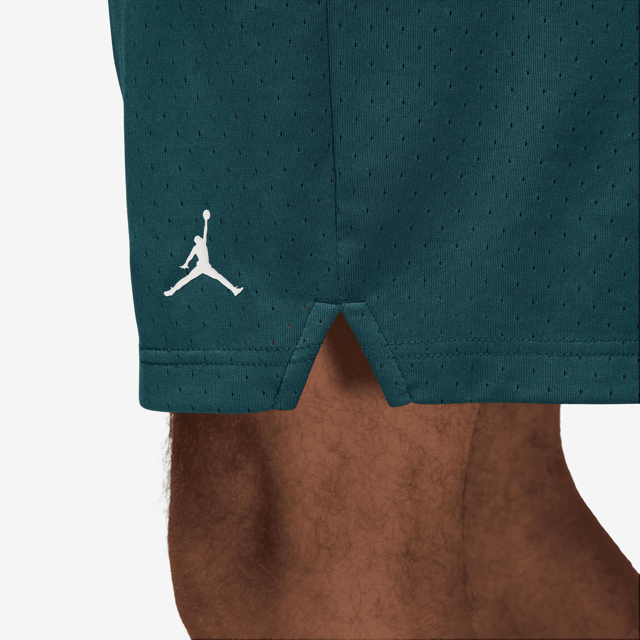 Jordan Sport Dri-Fit Mesh Shorts | FN5816-366