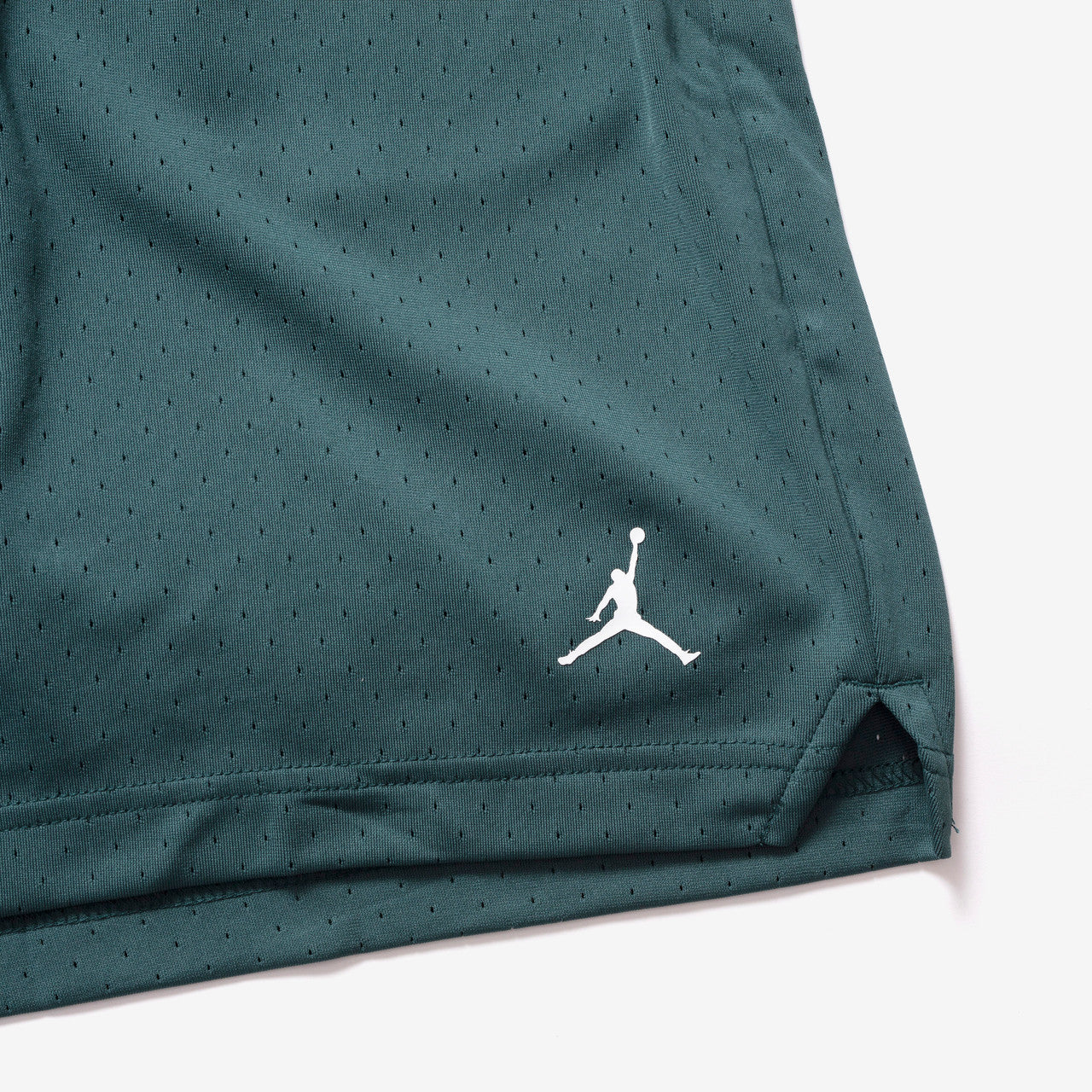 Jordan Sport Dri-Fit Mesh Shorts | FN5816-366