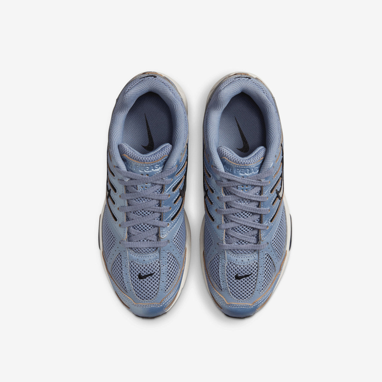 Wmns Air Pegasus 2005 C.O.R | HQ5725-400