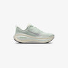 Wmns Vomero Plus