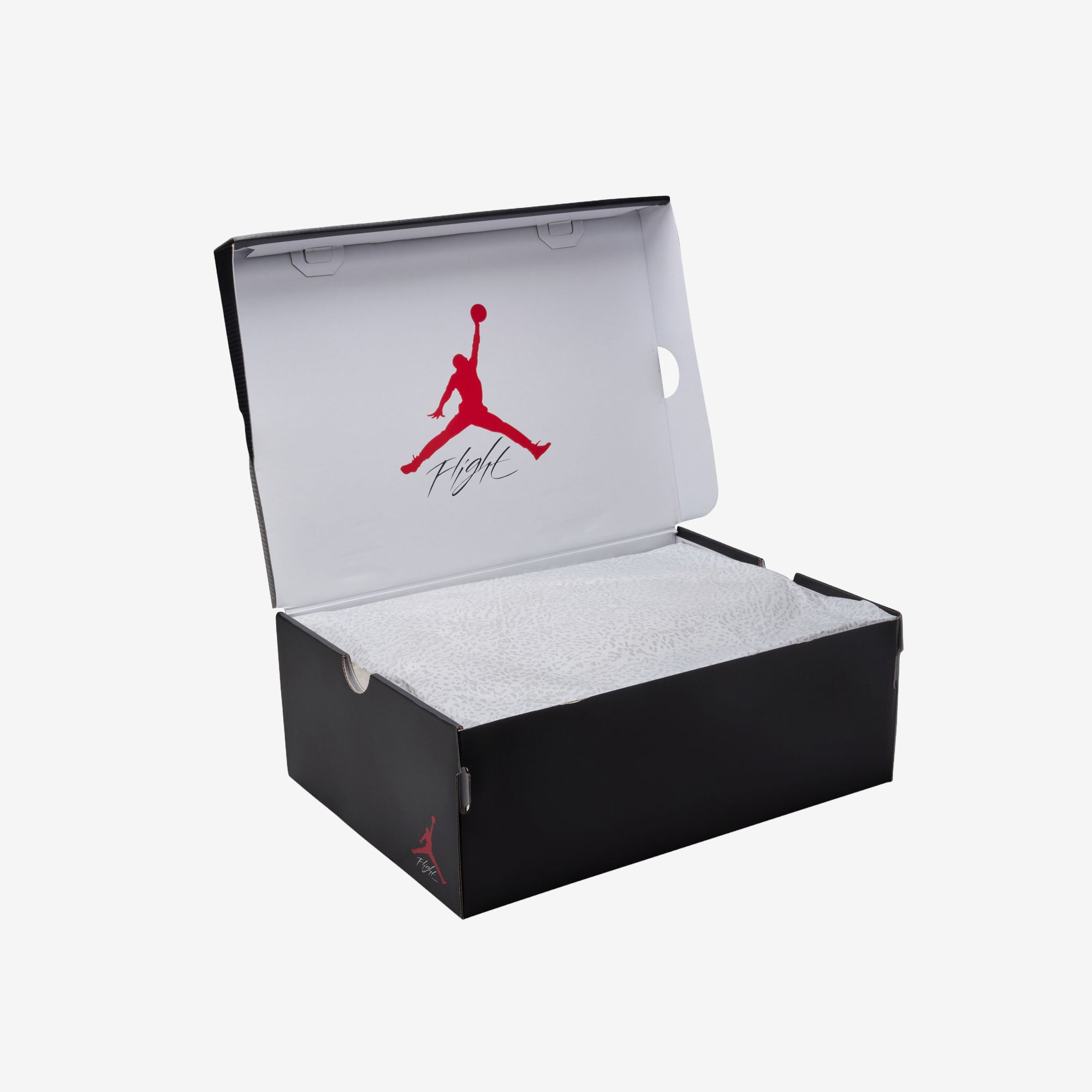 Air Jordan 3 Retro OG