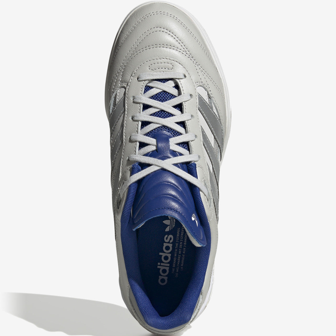 Predator Mundial | IE5675