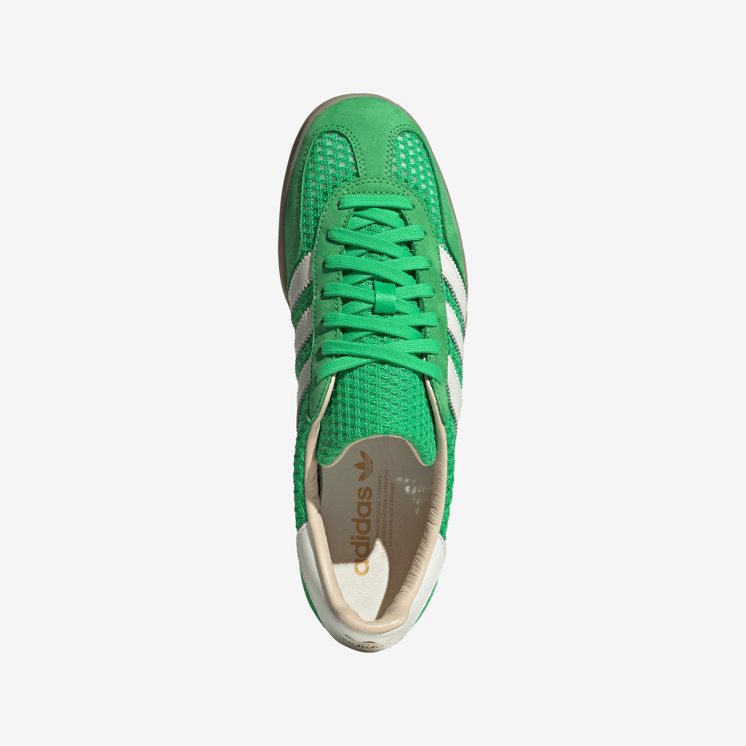Gazelle Indoor