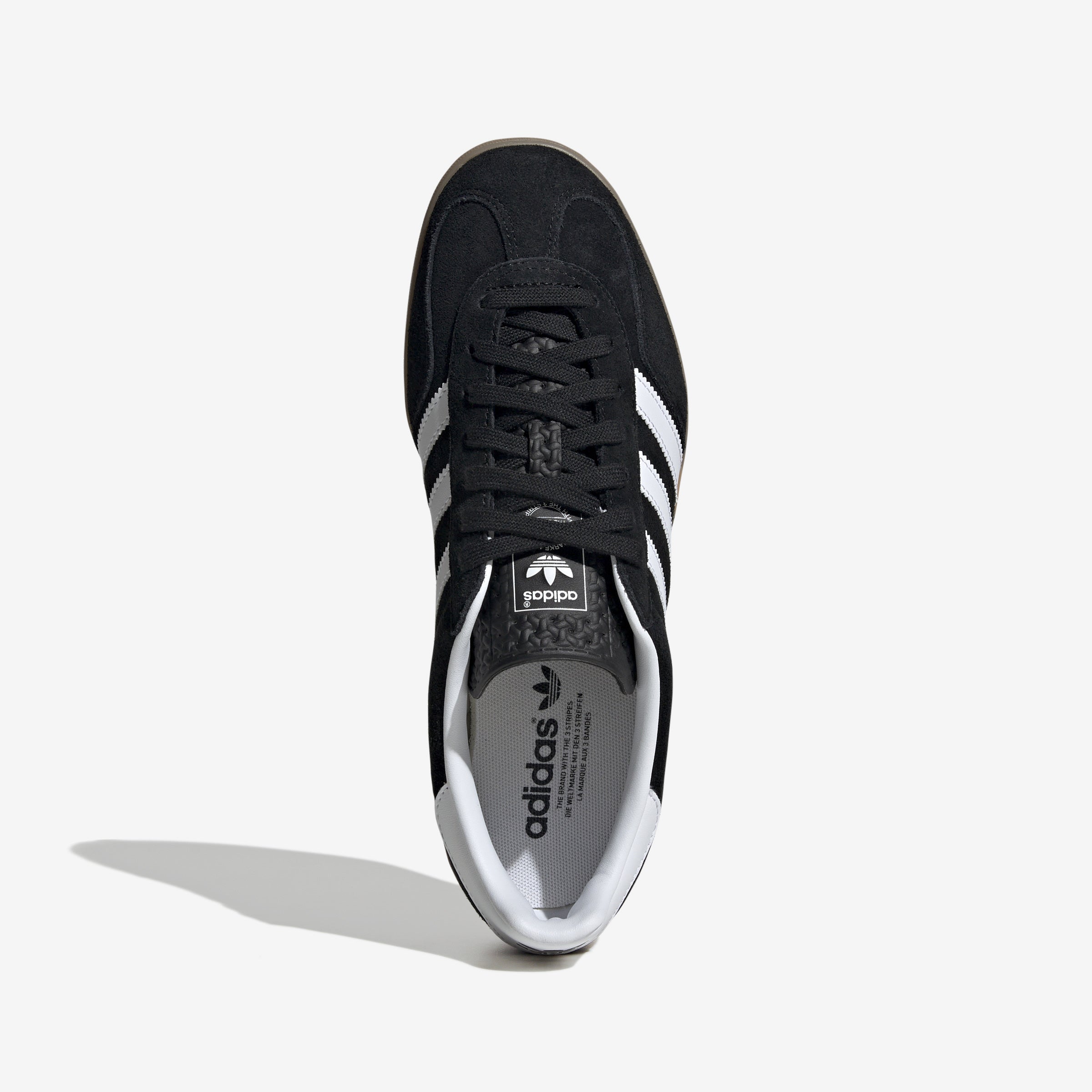 Gazelle Indoor