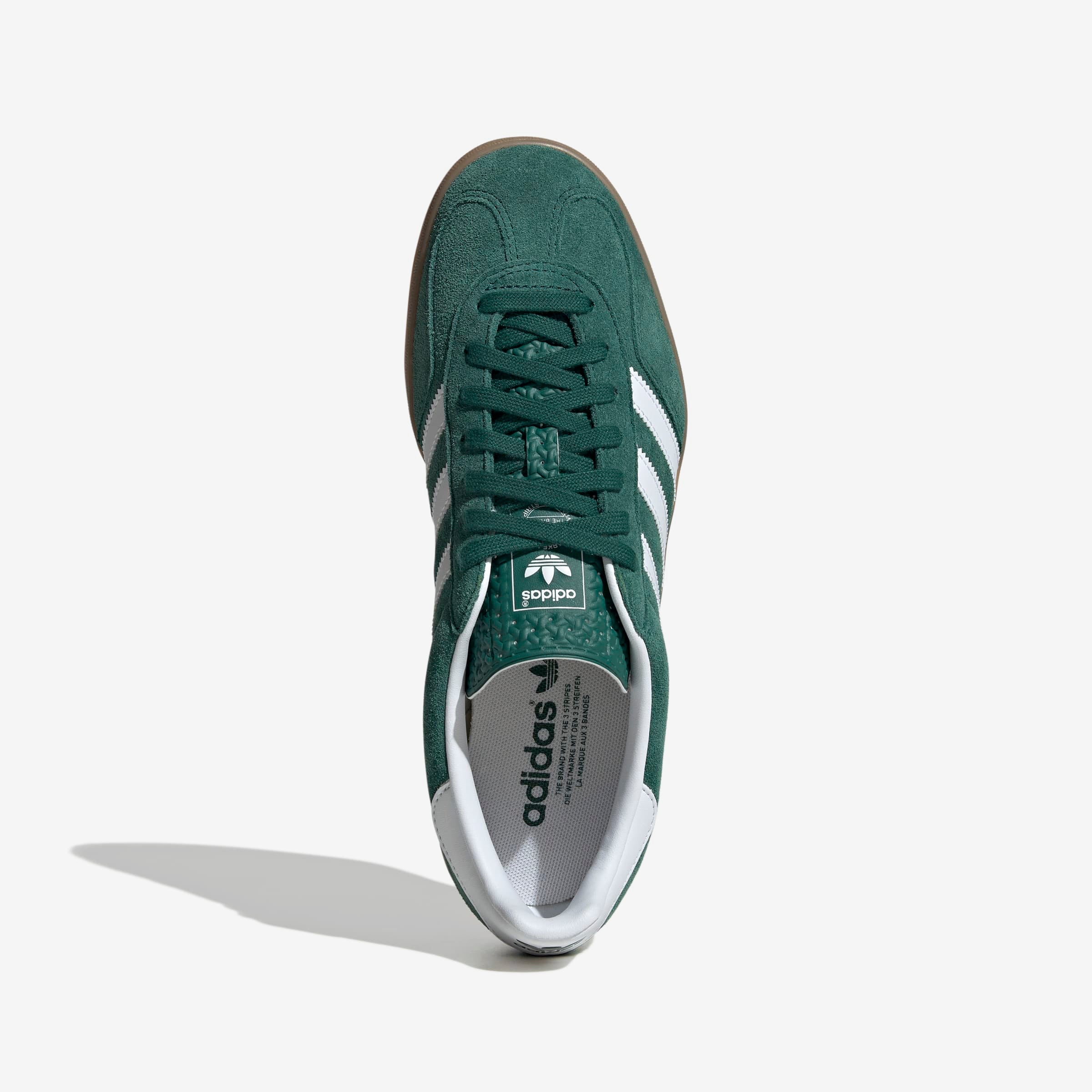 Gazelle Indoor
