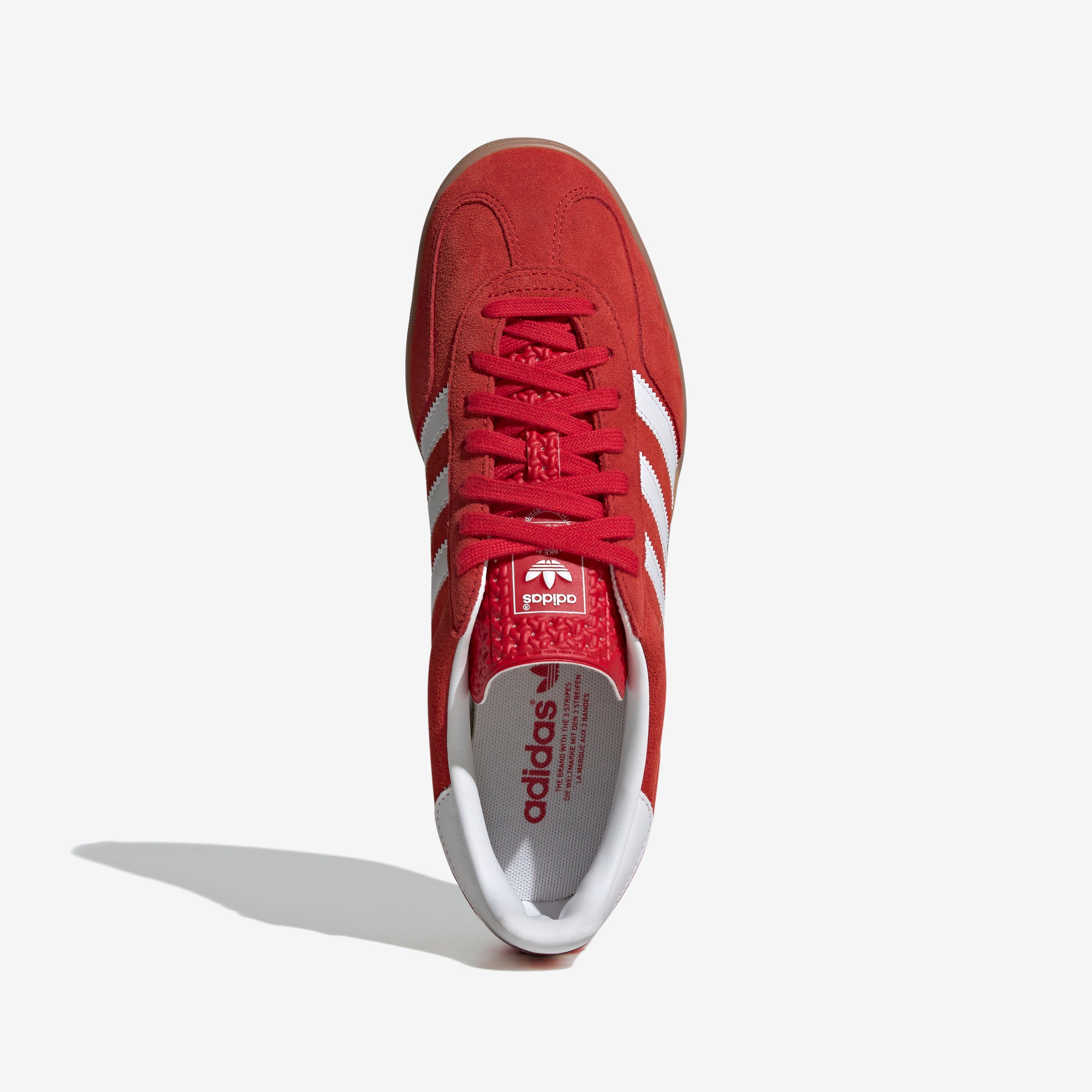 Gazelle Indoor