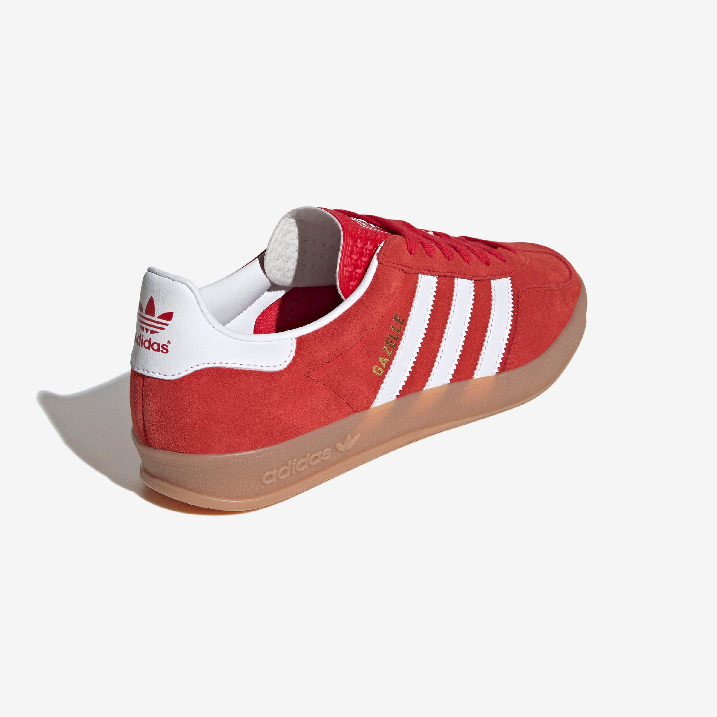Gazelle Indoor