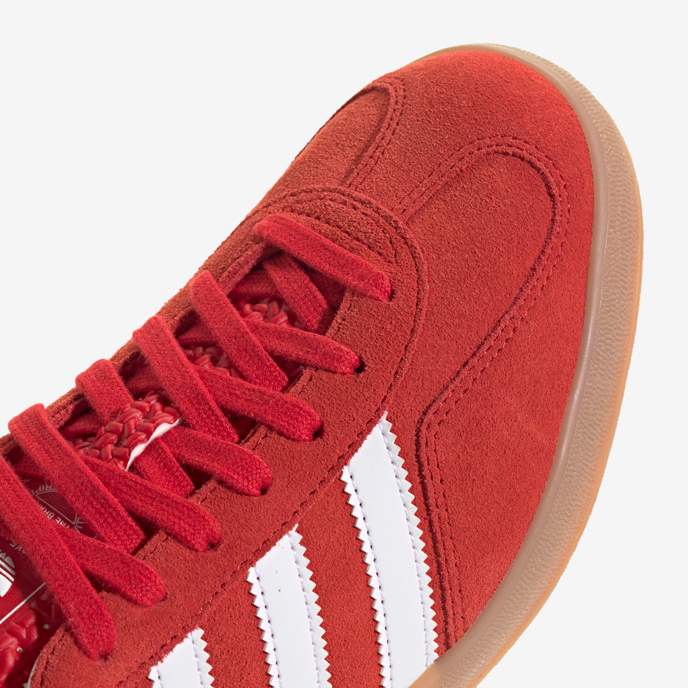 Gazelle Indoor
