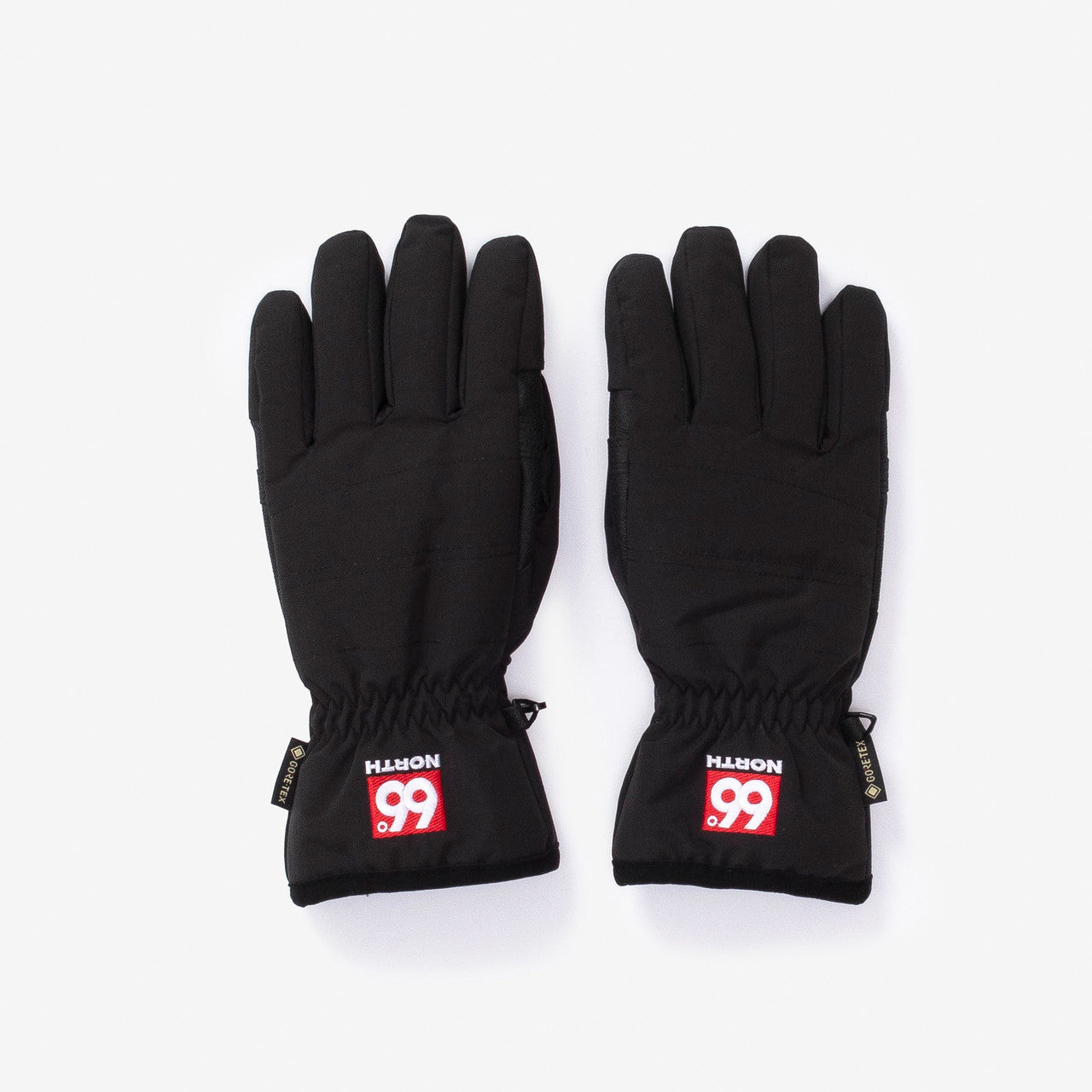 Langjokull Gore-Tex Gloves | L81437-900