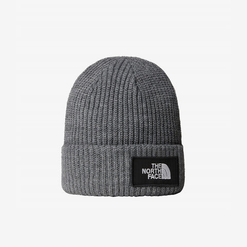Salty Lined Beanie | NF0A3FJW36P1