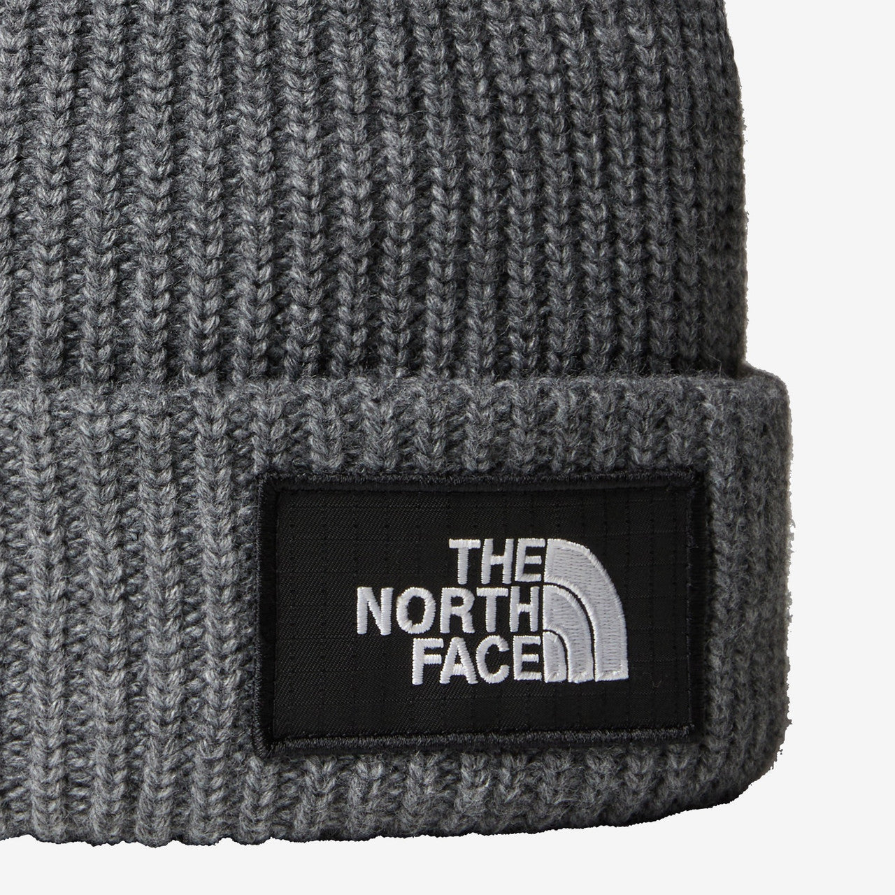 Salty Lined Beanie