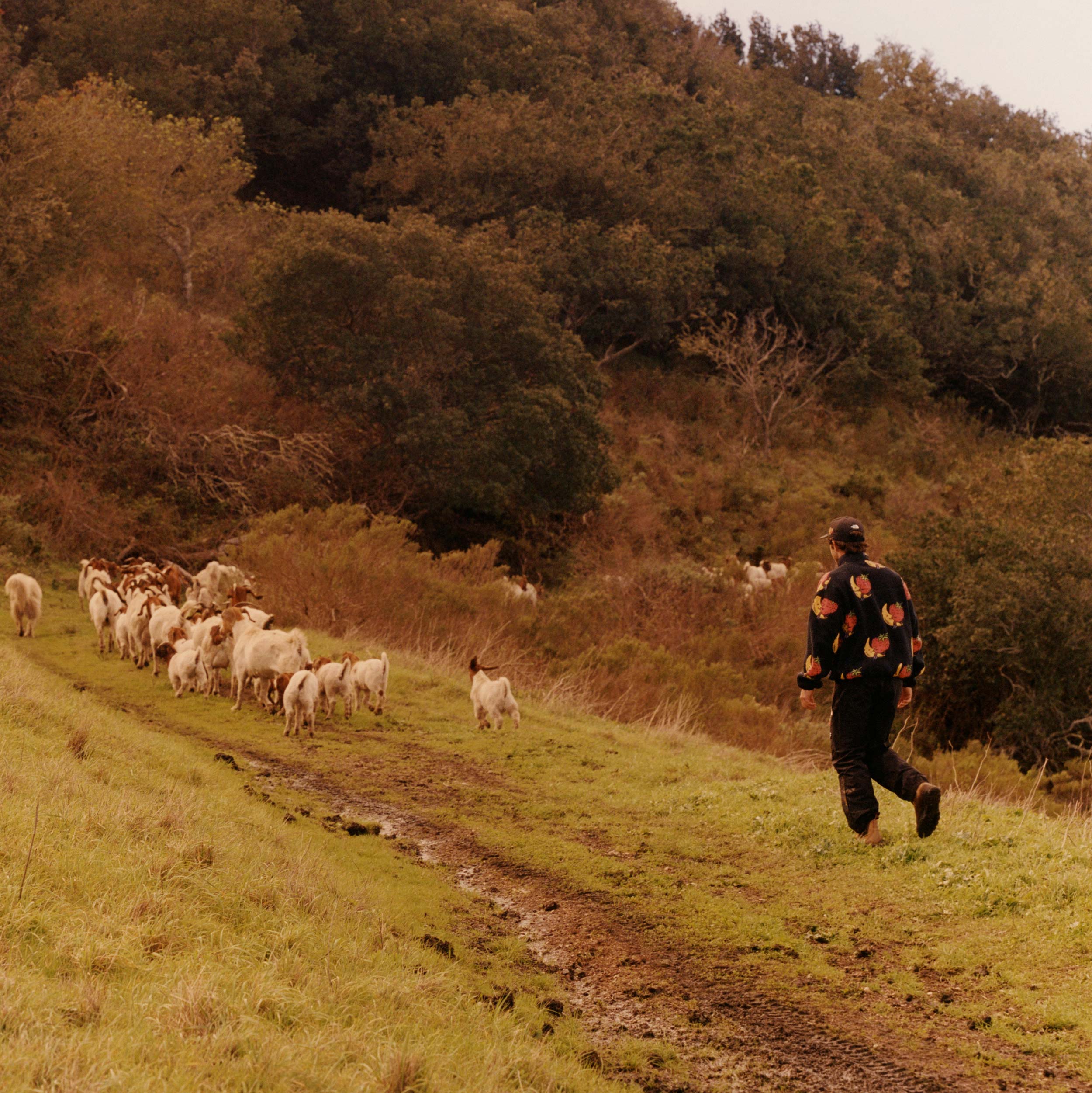 Mountain Pant x Sky High Farm Goods