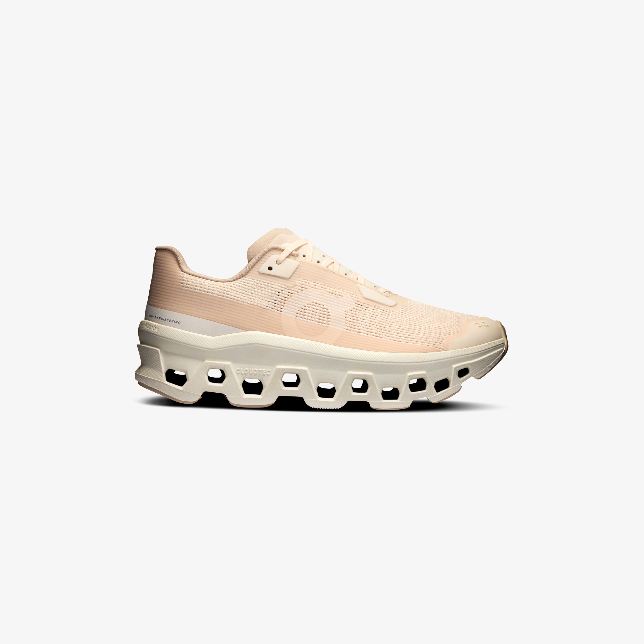 Wmns Cloudmonster Void