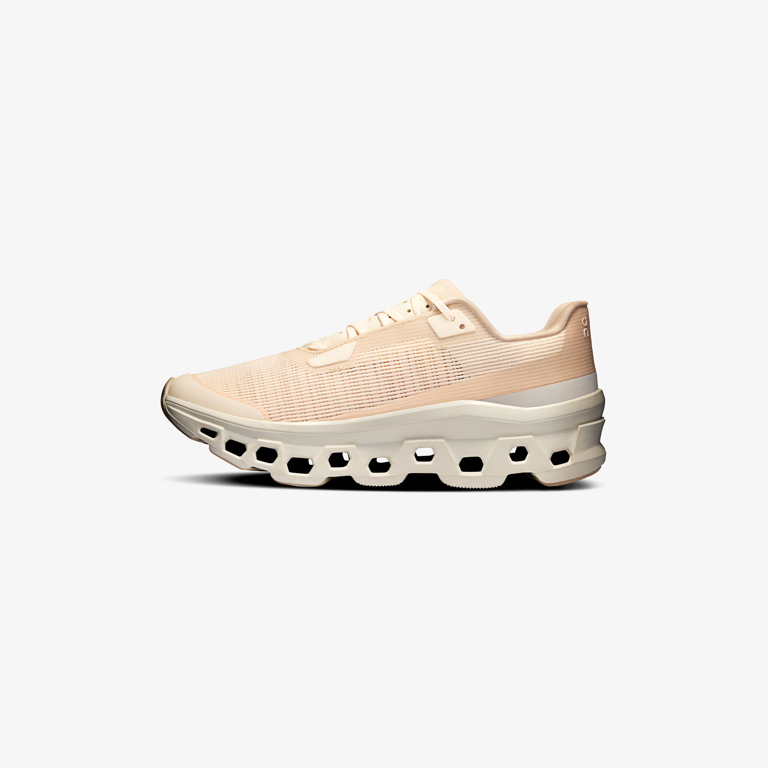 Wmns Cloudmonster Void