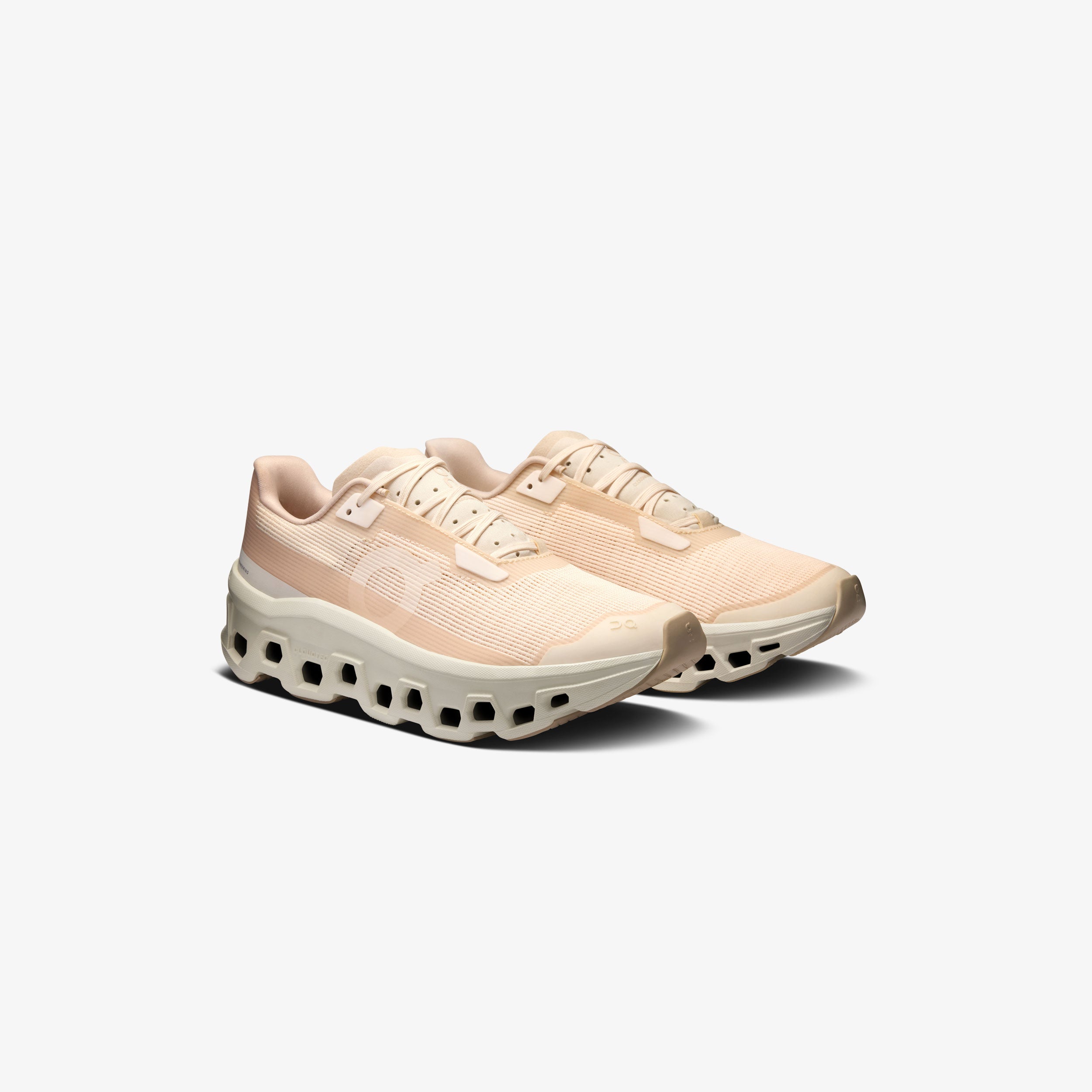 Wmns Cloudmonster Void